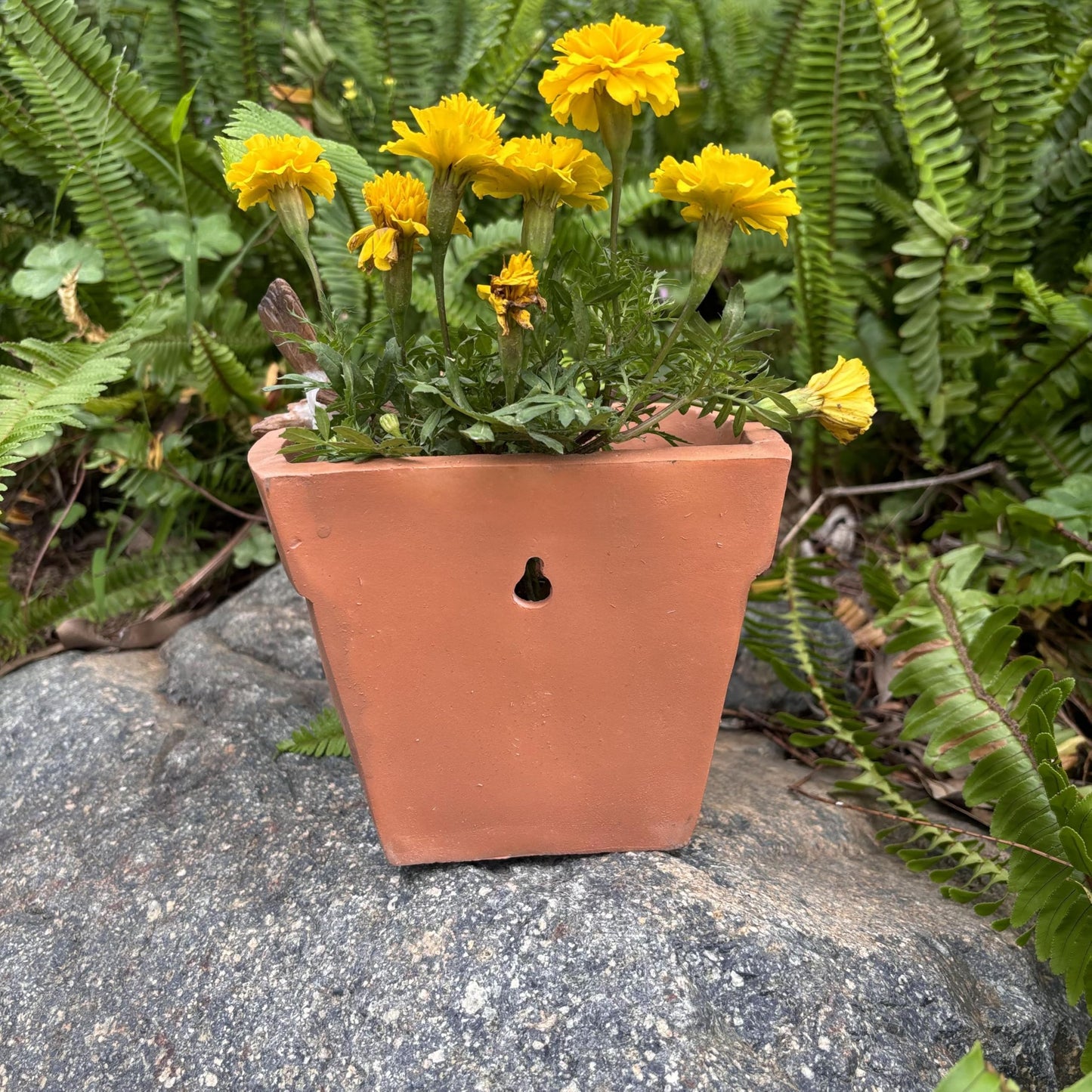 Yaoemei Bird Succulent Planter, Cute Bird Plants Pots, Indoor Outdoor Flowerpot Garden Decor, Bird Bonsai Flower Pot, Wooden Succulent Planter with Drainage for Yard Patio Lawn Balcony