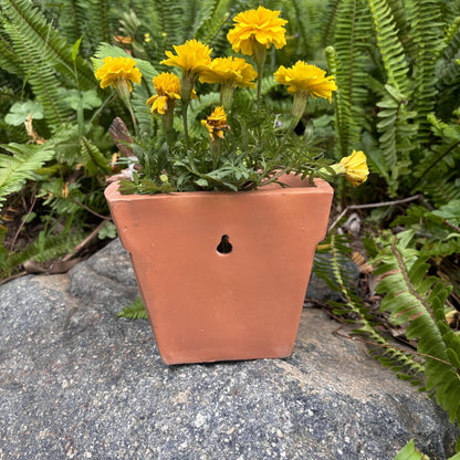 Yaoemei Bird Succulent Planter, Cute Bird Plants Pots, Indoor Outdoor Flowerpot Garden Decor, Bird Bonsai Flower Pot, Wooden Succulent Planter with Drainage for Yard Patio Lawn Balcony