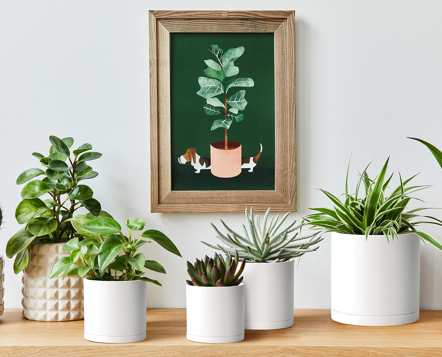 D'vine Dev Pack of 10 Plastic Plant Pots (2 Set of 6 Inch, 5.5 Inch, 5 Inch, 4.5 Inch, 4 Inch) Small Planter Pots for Plant with Drainage Holes and Saucers, White, 74-R-A