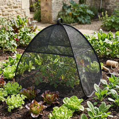 2 Pcs Pop Up Garden Netting Bug and Shade Covers, 22" x 22" x 22" Plant Sun Shade Top Bird Netting Tents, Insect Barrier Sun Protection Plant Cover Tent for Outdoor Plants Vegetables Fruits (Black)