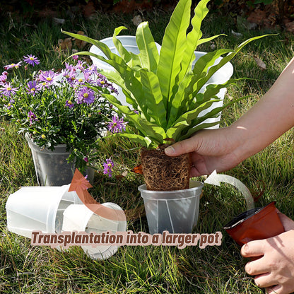 Clear Nursery Pots with Drainage, 10 Pack Transparent Plastic Orchid Planters, 6 Sizes Plant Pots 9.5/8.5/7/6/4.7/4 Inch with 10 Plant Labels for Seedlings, Succulents, Indoor/Outdoor Repotting