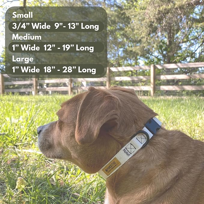 Pawsitive Hemp Dog Collar - Super Soft Hypoallergenic Lining. Great for Small, Medium and Large Dogs; Medium Forest Green