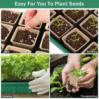 Hahood 6 Pack Seed Starter Tray Kit with 120 Square Peat Pots for Seedlings, Including Plants Labels, Planting Tools, Growing Trays Plastic Germination Tray Paper Starter Pods for Plant Seeds, Green