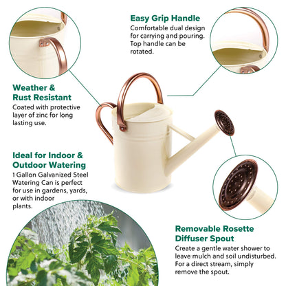 Gardman R34898 1 Gallon Watering Can, Vintage Cream