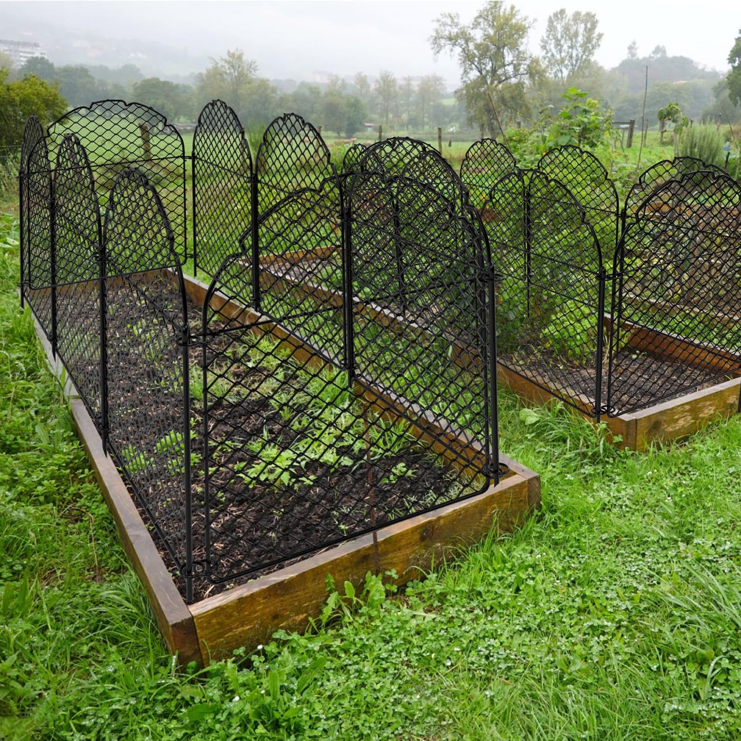 uhearem 4 Packs Plant Protectors from Animals, Chicken Wire Garden Cloche Cages Covers for Outdoor Plants to Keep Animals Out (4, Classic)