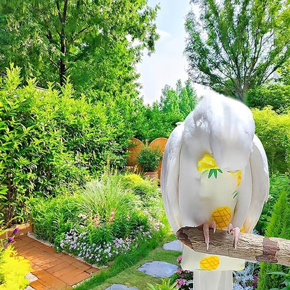 2Pcs Bird Diapers Bird Harness Flight Suits Diapers with 80 Inch Flying Leash Parrot Nappy Washable Cute Urine Wet Suit for Cockatiel Conure Macaw Budgies Parakeet-Pineapple&Kitten,M