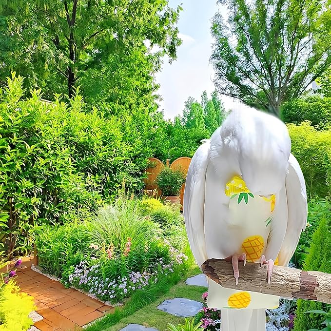 2Pcs Bird Diapers Bird Harness Flight Suits Diapers with 80 Inch Flying Leash Parrot Nappy Washable Cute Urine Wet Suit for Cockatiel Conure Macaw Budgies Parakeet-Pineapple&Watermelon,S
