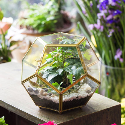 NCYP Glass Geometric Terrarium Planter with Door and Foot, Pentagon Ball Shape Glass Terrarium for Fern, Succulents, Small Plants, Gold, 6.8 x 6.8 x 5.9 inches (No Plants)