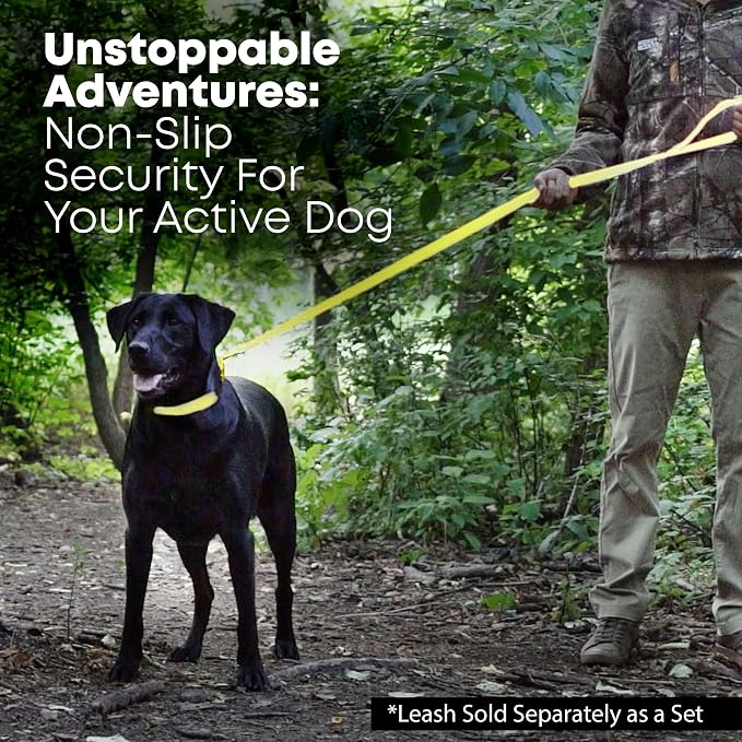 Regal Dog Products Large Yellow Waterproof Dog Collar and Leash Set | Heavy Duty Double Buckle & D Ring - 5'ft Leash | Adjustable Biothane Dog Collar | Chew Resistant Waterproof Collar for Dogs
