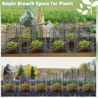 Novabright 6 Pack Garden Cloches for Plants 12" x 16" with Stakes & Zip Ties, Plant Covers from Animals Large Metal Mesh Chicken Wire Cloche Plant Protector Cage for Vegetable Garden Outdoor (Black)