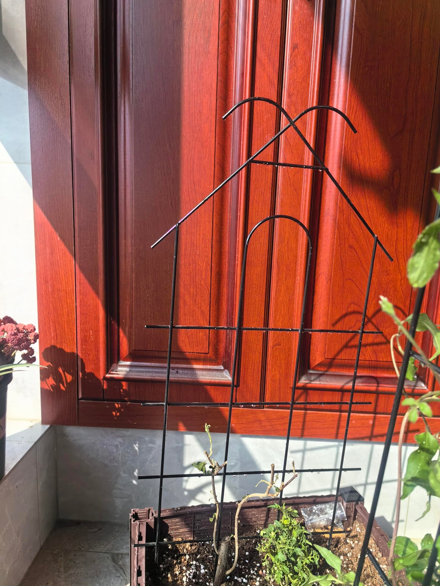 ARIFARO 24" Metal Garden Trellis for Climbing Plants, 4 Pack Plant Trellis for Potted Plants, Indoor Outdoor Black Trellis for Vines, Flowers, House Plants, 10" Wide