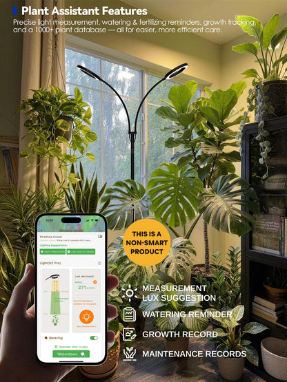 GLOWRIUM Grow Lights for Indoor Plants, Full Spectrum LED Grow Light Floor Lamp with Stand Adjustable Height and Angle, Black Plant Light with 3/9/12H Grow Light Timer (White, 36W)