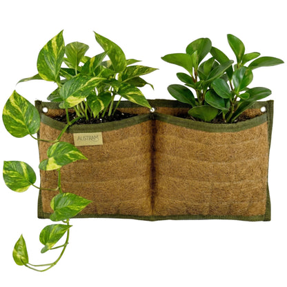 Austram Wall Hanging Planter, 2 Pocket, Hanging herb Planter, wall Mounted Plant Holder, Vertical herb Garden, Plant Hanger Indoor, Boho Kitchen Decor, Porch and Balcony Decor, Fence planters