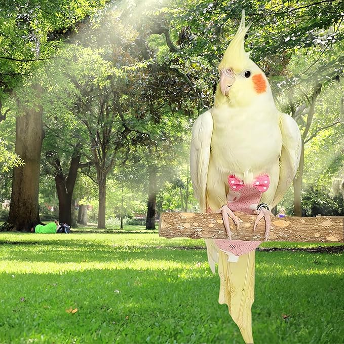 2Pcs Bird Diapers Bird Harness Flight Suits Diapers with 80 Inch Flying Leash Parrot Nappy Washable Cute Urine Wet Suit for Cockatiel Conure Macaw Budgies Parakeet-Rabbit&Watermelon,M