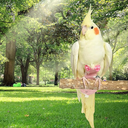 2Pcs Bird Diapers Bird Harness Flight Suits Diapers with 80 Inch Flying Leash Parrot Nappy Washable Cute Urine Wet Suit for Cockatiel Conure Macaw Budgies Parakeet-Rabbit&Watermelon,M