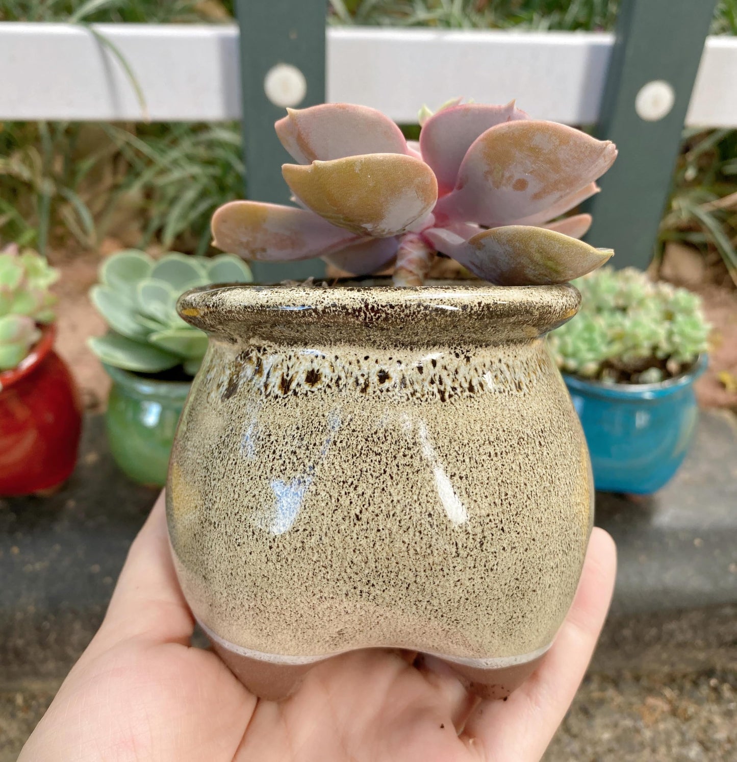 Casktcom 4PCS Handcraft Glazed Succulent Planters，Small Ceramic Succulent Pots with Drainage，Small Pots for Succulents - Mix Color Set