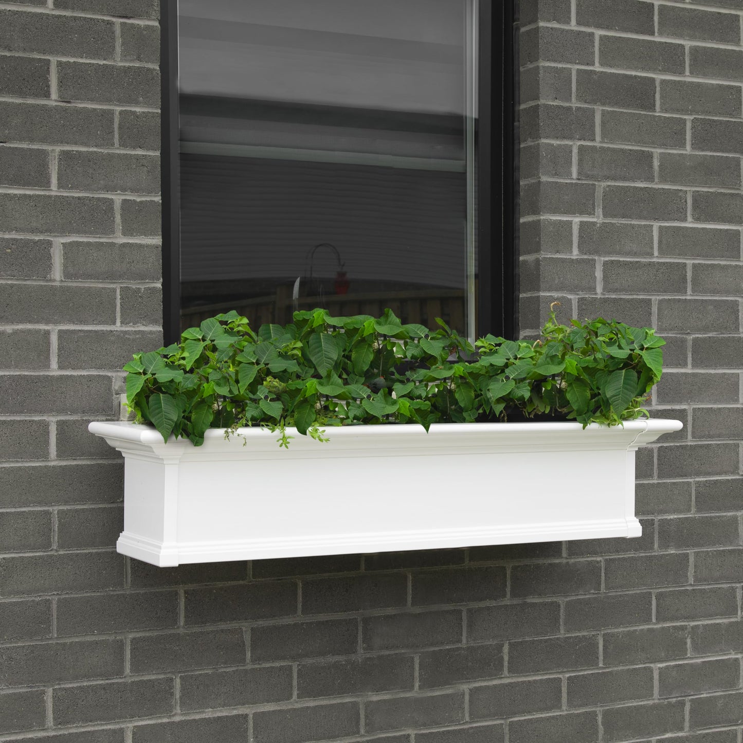 Mayne Yorkshire 5ft Window Box - White - 60in L x 12in W x 10in H - with 1.25 Gallon Built-in Water Reservoir (4825-W)