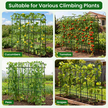 OTOSUNNY Cucumber Trellis for Raised Garden Bed, Reinforced 6 ft Tall Metal Garden Arch Trellis Climbing Plants Support Outdoor, Heavy Vines Vegetable Snap Pea Pole Bean Tomato Trellis, Black