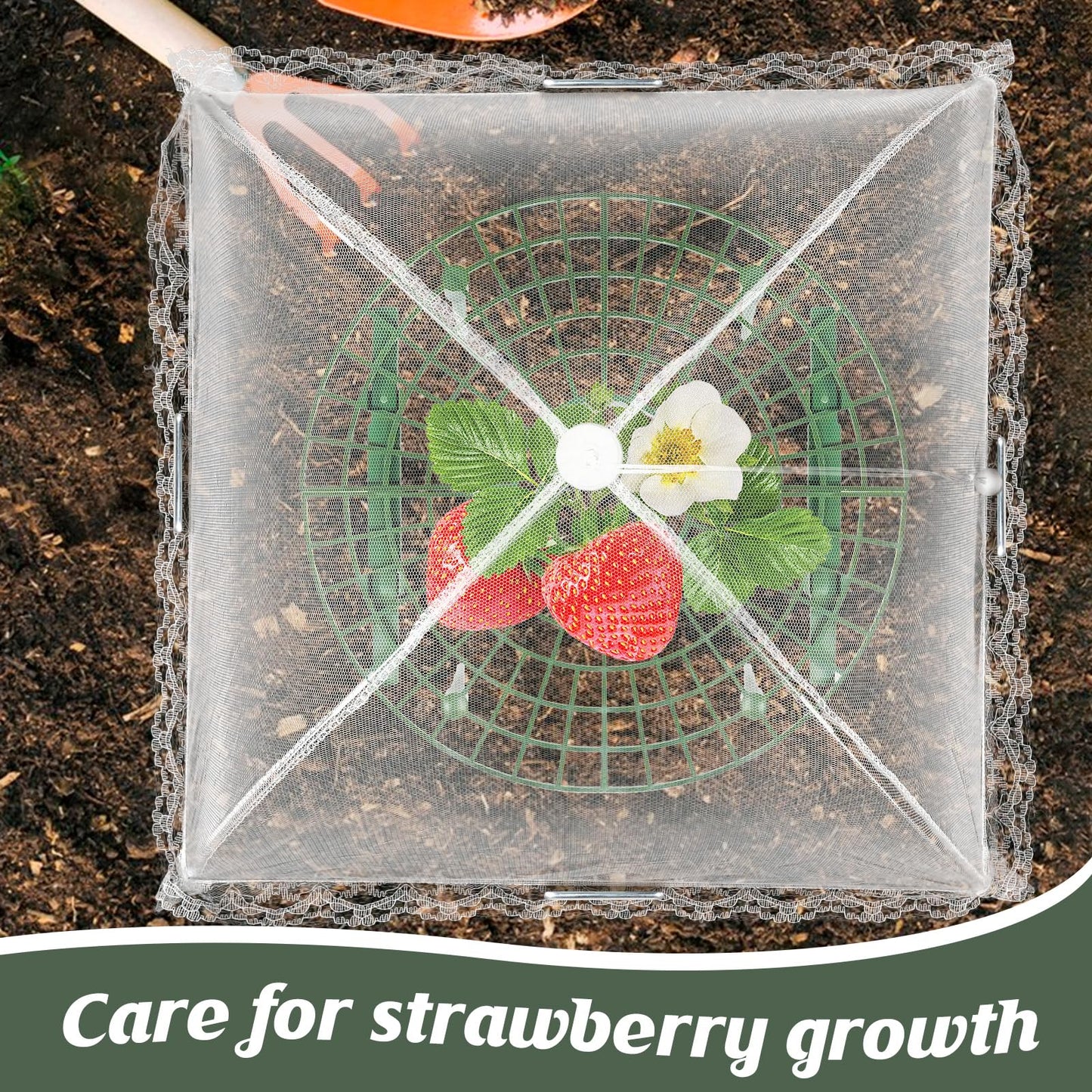 COZYDIG 4 Sets Strawberry Plant Support with Mesh Plant Cover,Strawberry Growing Racks Sets with Iron Plant Nails and Storage Bag for Garden Strawberry Vegetables(White Net - Round)