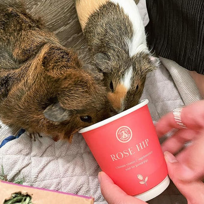 GuineaDad Organic Guinea Pig Herbal Treats - Guinea Pig Food with Convenient Packaging - Rose Hip Flavor - 10 fl. oz - Guinea Pig Treats Help with Bonding - High in Nutrition, Immune Support - Small