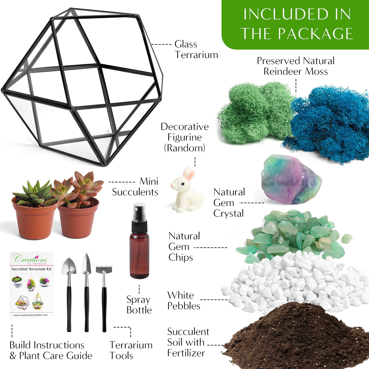 Creations by Nathalie DIY 7" Geometric Terrarium Kit - Build Your Own Glass Terrarium for Adults & Teens with Moss, Crystals, Tools & Decor - Handcrafted in the USA (Live Plant Included)