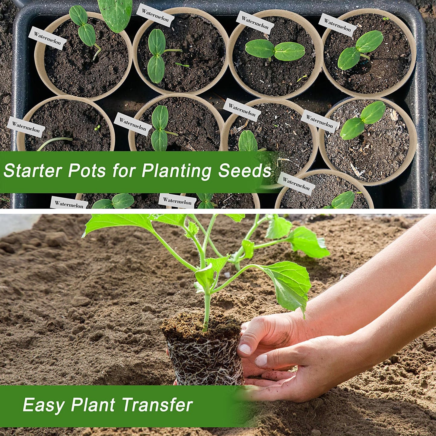 ARGCONNER Peat Pots, 60 Pack Plant Starter Round Nursery Pot with Drainage Holes, Garden Germination Seedling Pots with 30 Plant Labels (4 Inch)