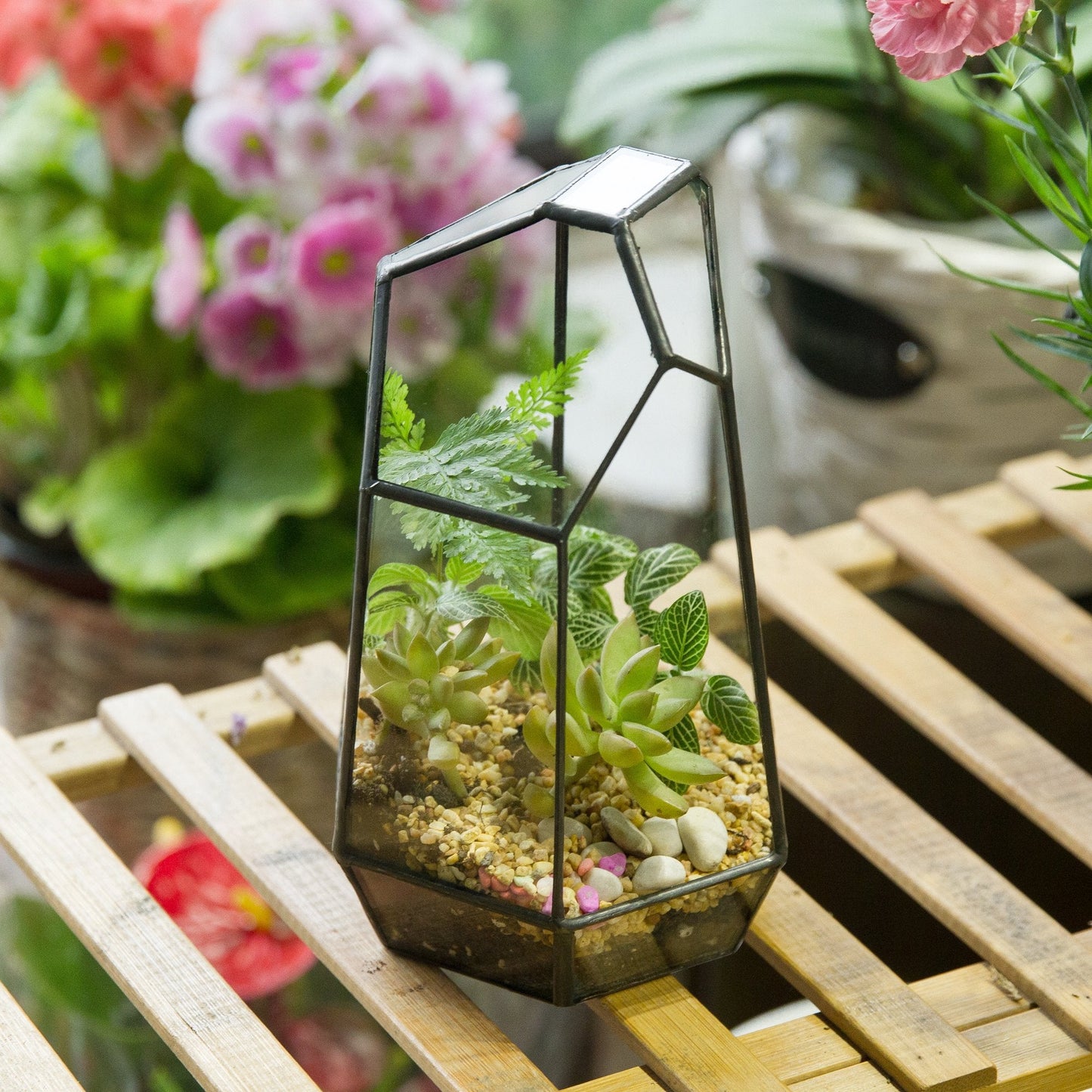 NCYP Small No Door Glass Geometric Terrarium - 4.9 x 3.9 x 7.4 Inches Irregular Clear Terrarium Pot for Mini Succulents, Small Cactus, Indoor Garden Tabletop Decoration (No Plants)