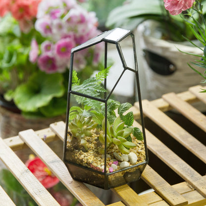 NCYP Small No Door Glass Geometric Terrarium - 4.9 x 3.9 x 7.4 Inches Irregular Clear Terrarium Pot for Mini Succulents, Small Cactus, Indoor Garden Tabletop Decoration (No Plants)