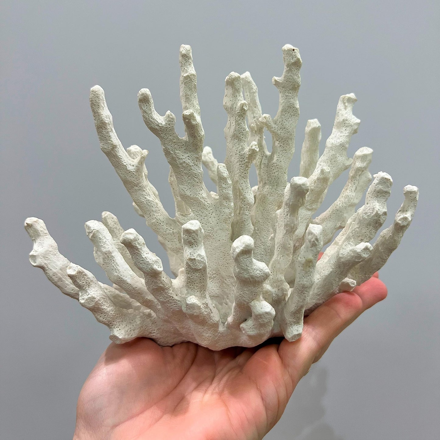 Abbott Collection 20-SEASHORE/45 Small White Finger Coral Decorative Resin Figurine