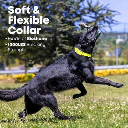 Regal Dog Products Small Yellow Waterproof Dog Collar and Leash Set | Heavy Duty Double Buckle & D Ring - 5'ft Leash | Adjustable Biothane Dog Collar | Chew Resistant Waterproof Collar for Dogs
