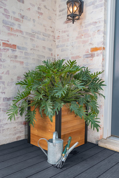 Vita Mezza 22 inch Square Cedar Wood Cube Planter, Golden Brown, Black Aluminum Posts, FSC, Pre-Stained, Insect and Pest Rrepellant, VT17711