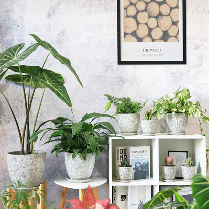 Bestseler 8 Inch + 6 Inch Retro Ceramic Planter Set of 2 with Drainage Hole and Saucer for Multiple Plants, Indoor-Outdoor Garden Pots for Succulent, Orchid, and Flower (Retro White)