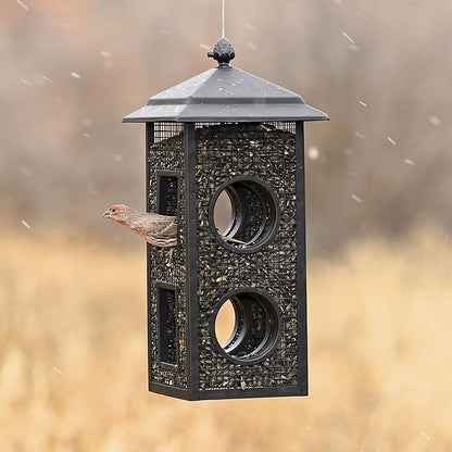 Perky-Pet Fly-Thru Wild Bird Feeder - 2 lb Capacity for Black-Oil Sunflower Seeds - Wild Bird Feeder for Outdoors - Outdoor Decor - B00303