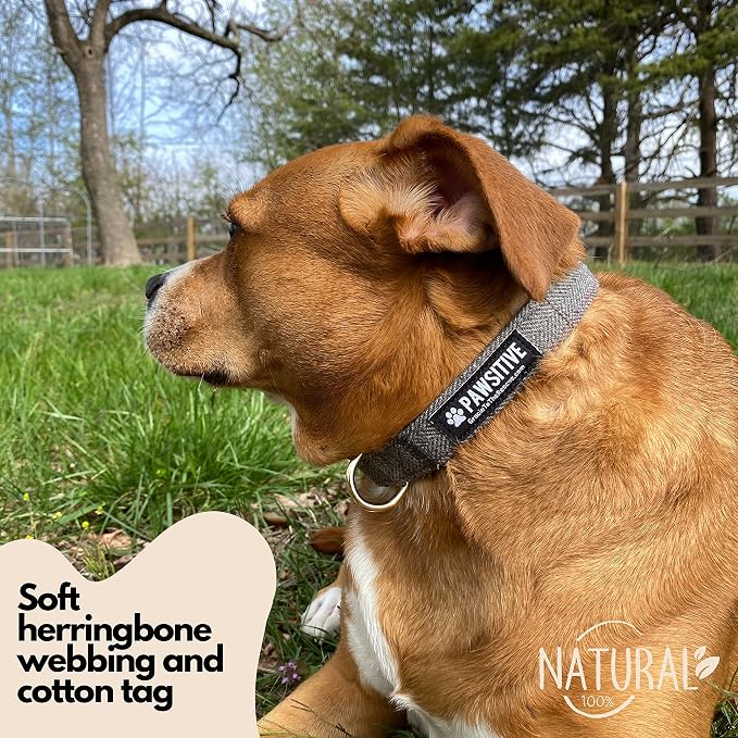 Pawsitive Wool Dog Collar - Hypoallergenic Dog Collar, Great Dog Collar for Sensitive Skin, Soft Collar for Dogs, Soft Organic Dog Collar Eco-Friendly (Medium, Blue & Leash)