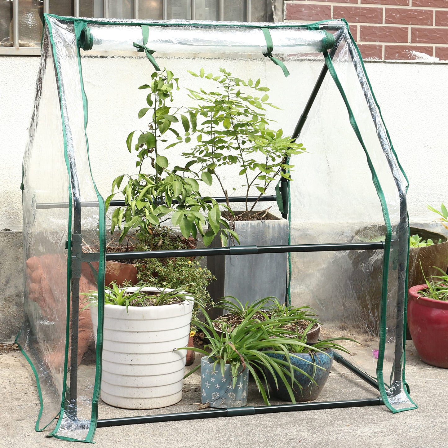 Gardzen Mini Greenhouse Heavy Duty Portable Green House, Zipper Clear Tent Small Greenhouse for Indoor Outdoor Plants 36.2”(L) x36.2”(W) x42.5”(H)