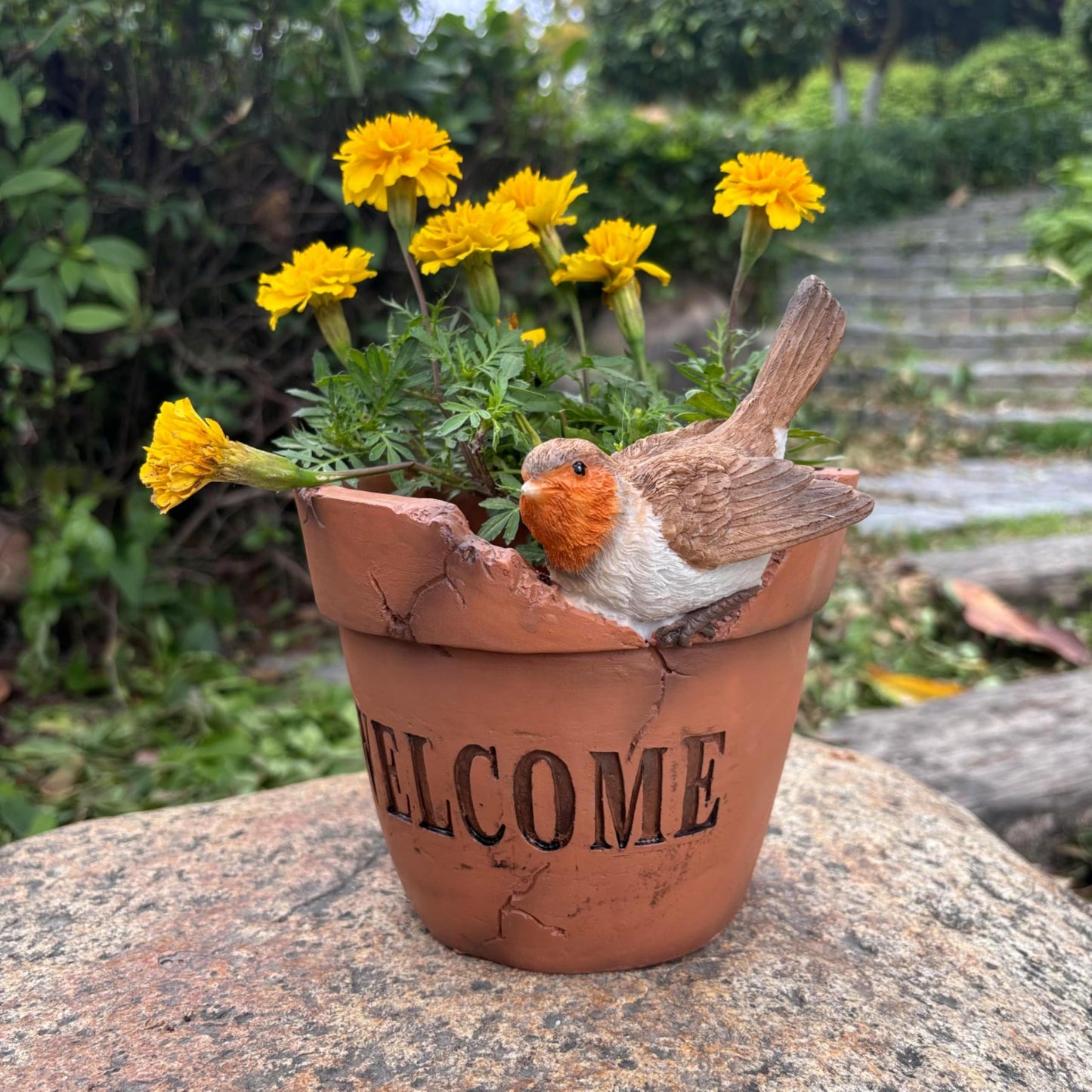 Yaoemei Bird Succulent Planter, Cute Bird Plants Pots, Indoor Outdoor Flowerpot Garden Decor, Bird Bonsai Flower Pot, Wooden Succulent Planter with Drainage for Yard Patio Lawn Balcony
