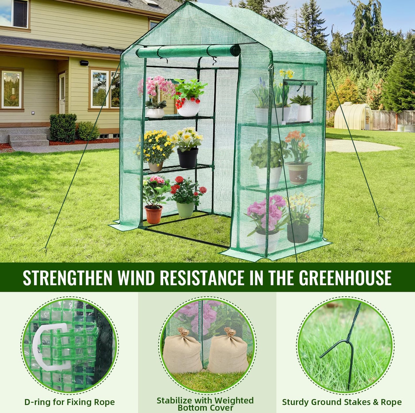 Greengro Greenhouse, 28 x 57 x 76'' Greenhouses for Outdoors, Small Plant Green House with Screen Windows, 3 Tiers 4 Shelves, Durable PE Cover, Plastic Portable Walk in Greenhouses for Outside Indoor