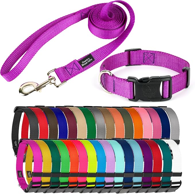 Country Brook Petz - Everyday Nylon Dog Collar and Leash - 10+ Cool Colors (3/4 Inch, Medium, Bright Purple)