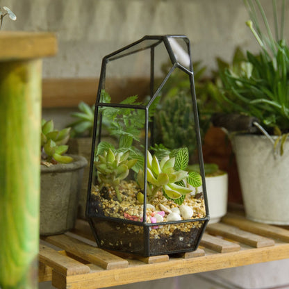 NCYP Small No Door Glass Geometric Terrarium - 4.9 x 3.9 x 7.4 Inches Irregular Clear Terrarium Pot for Mini Succulents, Small Cactus, Indoor Garden Tabletop Decoration (No Plants)