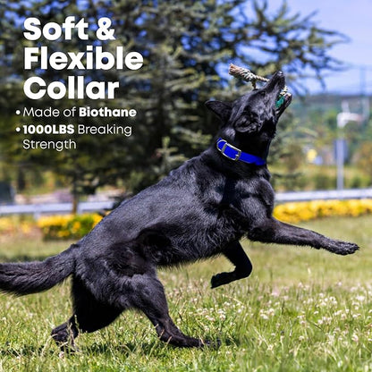 Regal Dog Products Large Blue Dog Collar with Heavy Duty Double Buckle & D Ring | Vinyl Coated, Custom Fit, Adjustable Biothane Dog Collar | Chew Resistant Waterproof Collar for Dogs