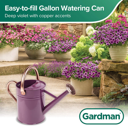Gardman R34881 1 Gallon Watering Can, Deep Violet