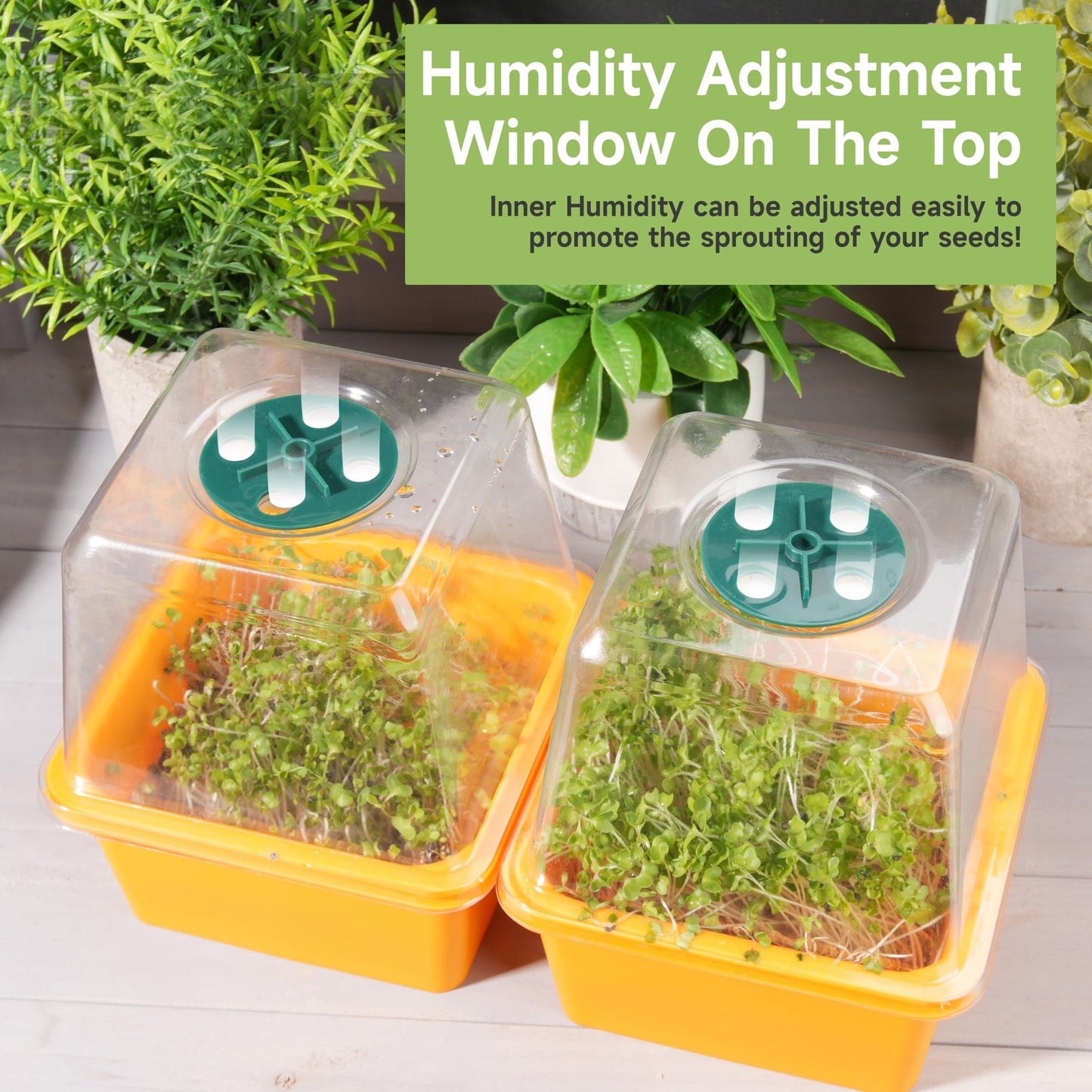 Microgreen Growing Trays, 5" x 5" Sprouting Tray with Humidity Dome, 1.2 mm Small Mesh Holes, BPA Free, Sprouter Kit for Growing Mirco Seeds, Like Broccoli, Alfalfa, Radish, Clover - 4 Pack | Colorful