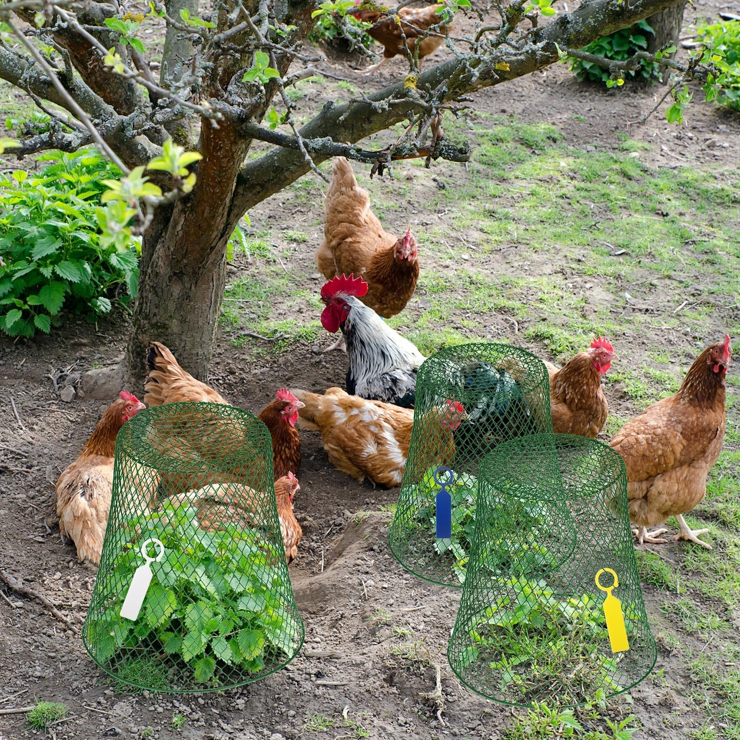 Geosar 10 Pcs 9 Inch Chicken Wire Cloche Plant Protector Cover Metal Garden Cloche Netting Protection Cages Vegetables Flowers with Garden Stakes Avoiding Chicken Rabbit Squirrels Birds (Green)