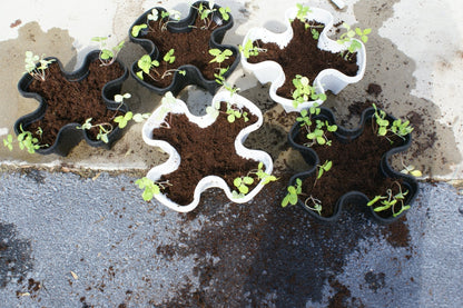 5 Tier Black & Grey Stackable Strawberry Garden - Vertical Gardening Planter Set