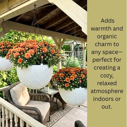 LaLaGreen Bundle- 4 Pack, 14 Inch Rectangular Self Watering Planter + 2 Pack, 11 Inch Round Self Watering Basket Rattan Style Balcony Flower Pot Window Wall Mount Plants Boxes Modern Home Garden Decor