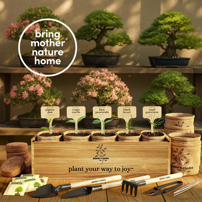 Planter's Choice Bonsai Tree Starter Kit - Birthday Gifts for Women, Men, Adults - Indoor Live House Plants - DIY Adults Craft Kits - Unique Hobby Gift Gardening Lovers - Gift Ideas Mom, Her, Friend