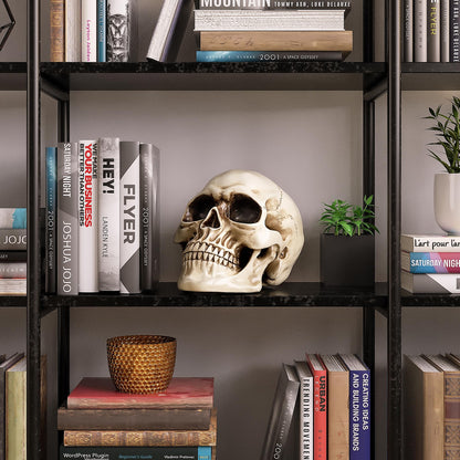 READAEER Life Size Resin Skull, Large Size Adult Skull Head Model for Home Decoration, Halloween Skull Statue, Human Skull Head Model (White)