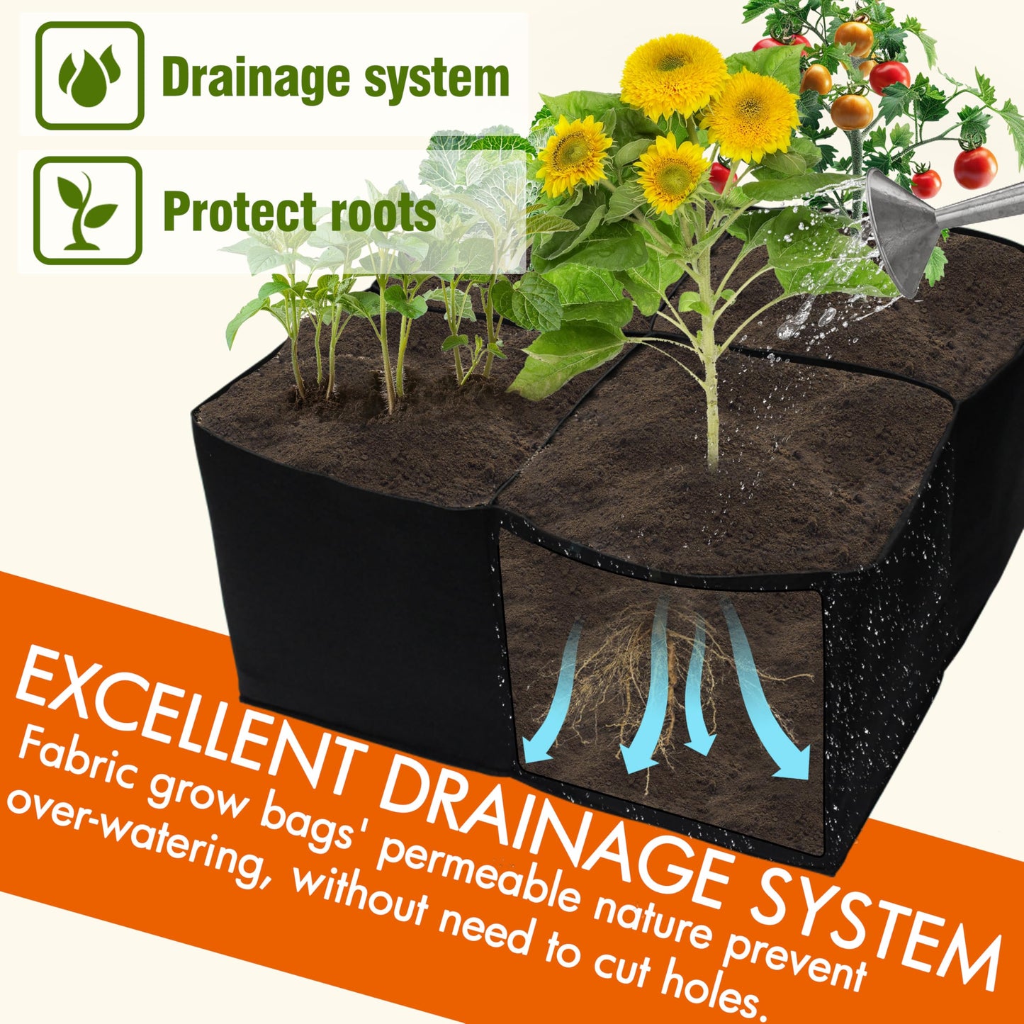 Gardzen 2 Pack Fabric Raised Garden Beds, 2x2x1 FT – 4 Grids Grow Bed for Square Foot Gardening, Planting Box for Vegetables, Herbs, Flowers