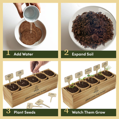 Planter's Choice Bonsai Tree Starter Kit - Birthday Gifts for Women, Men, Adults - Indoor Live House Plants - DIY Adults Craft Kits - Unique Hobby Gift Gardening Lovers - Gift Ideas Mom, Her, Friend