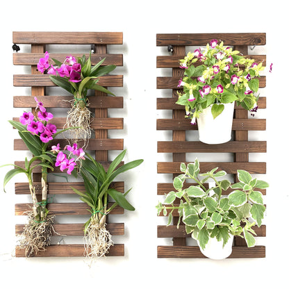 LalaGreen Bundle - 4" Pot + 2 Wooden Plant Holder, Black Self Watering Pot, Wall Hanging Planters for Indoor Plants Ladder, Wall Hanging Pots, Outdoor Vertical Garden Unique Live Orchid Planter Holder